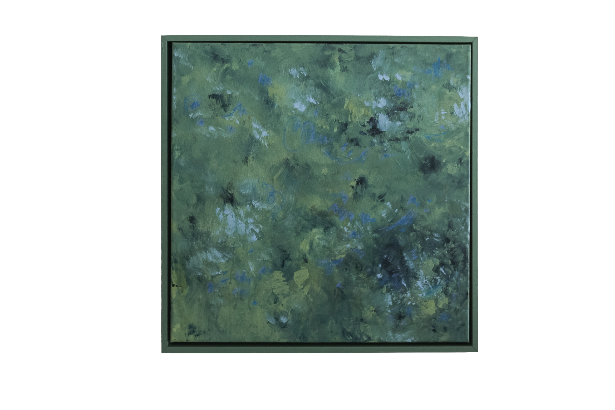VELVET SHORE