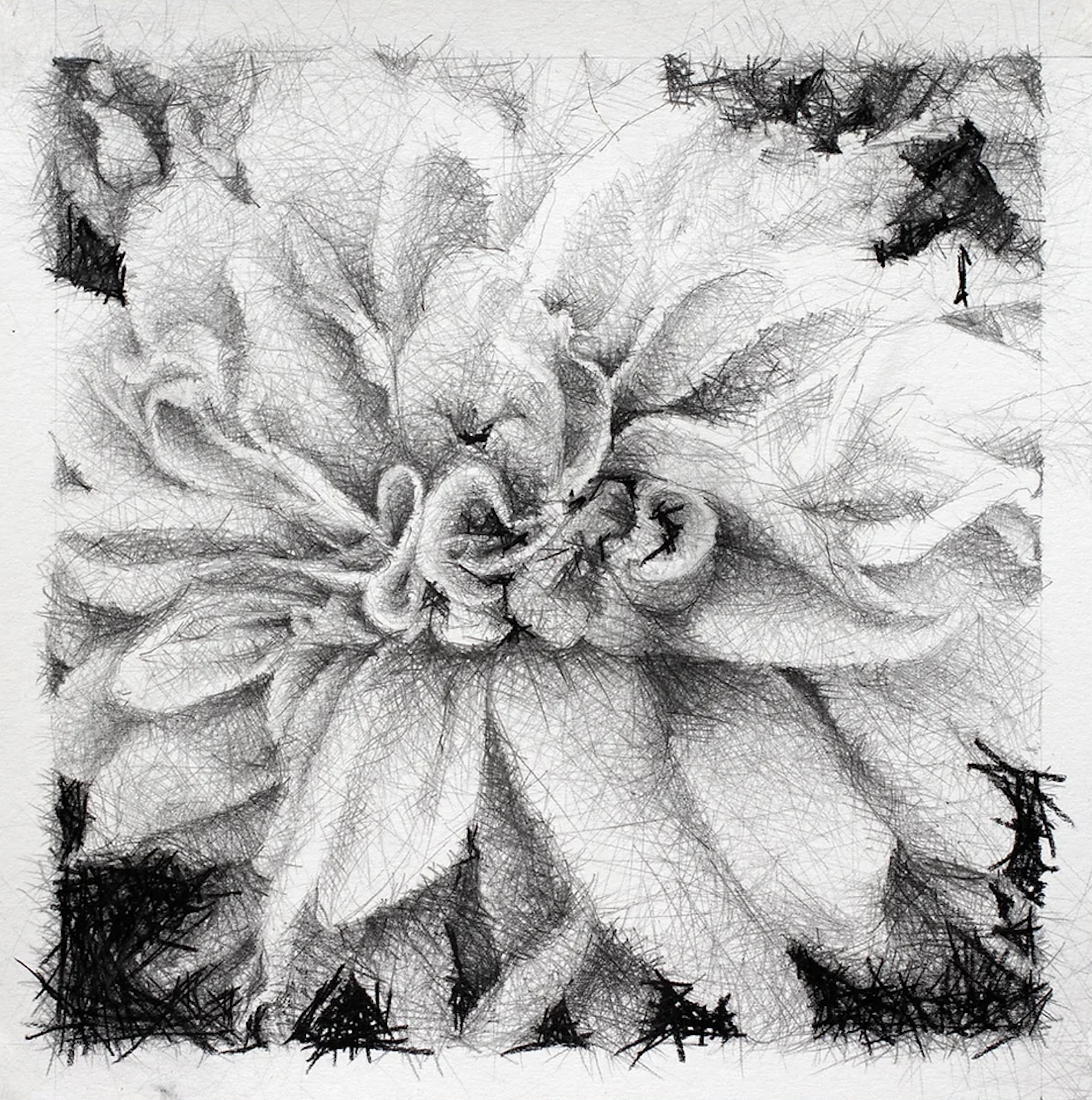 Screen Shot 2024-03-28 at 12.43.54 PM.png