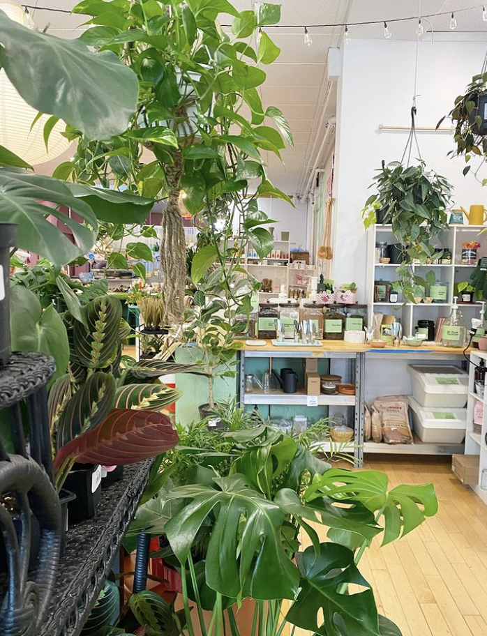 Screen Shot 2024-02-23 at 12.25.32 PM.png