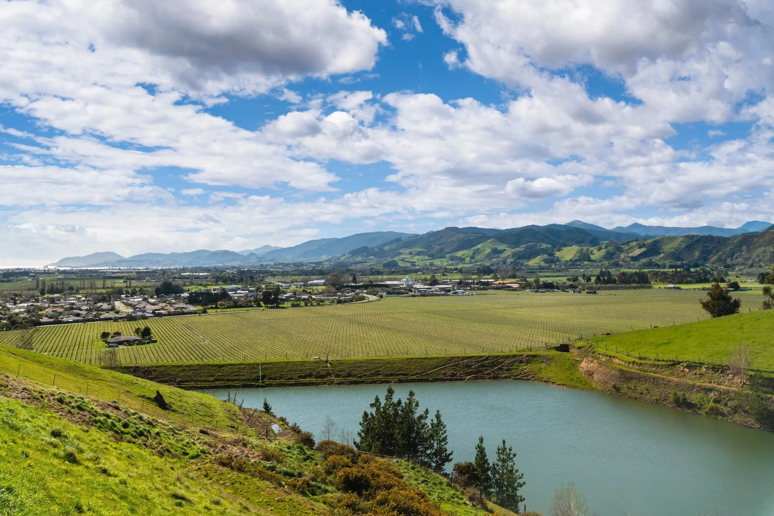 Coastal Homes in Tasman – What to Consider