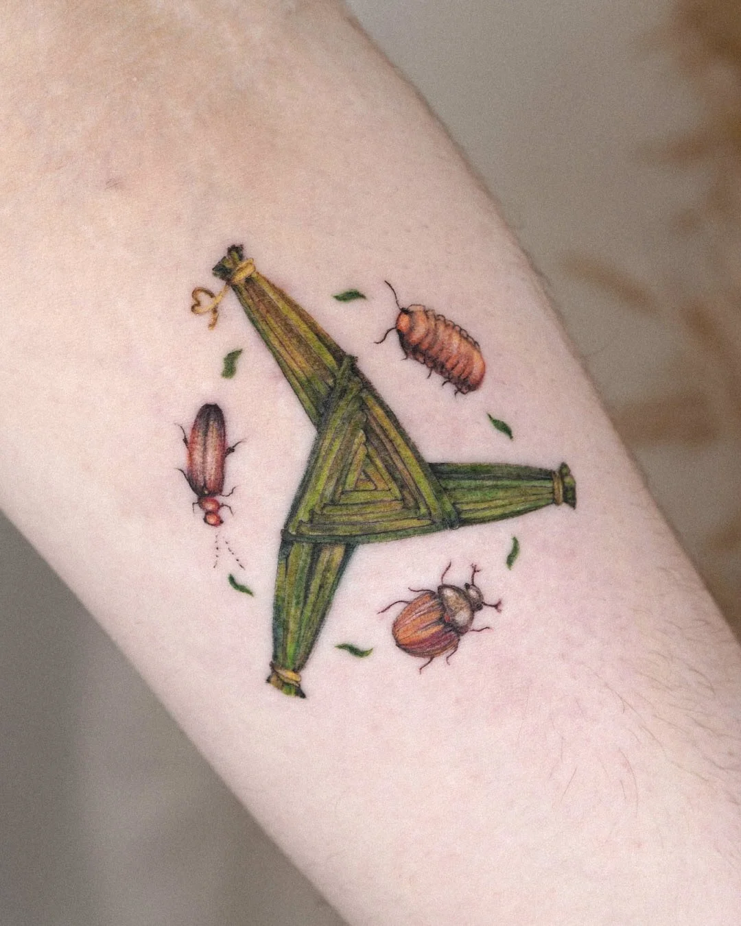 Illustrative, colour tattoo design featuring a traditional St Brigid’s Cross surrounded by small detailed isopods and small bugs. Irish-inspired artwork combining Celtic symbolism with nature.