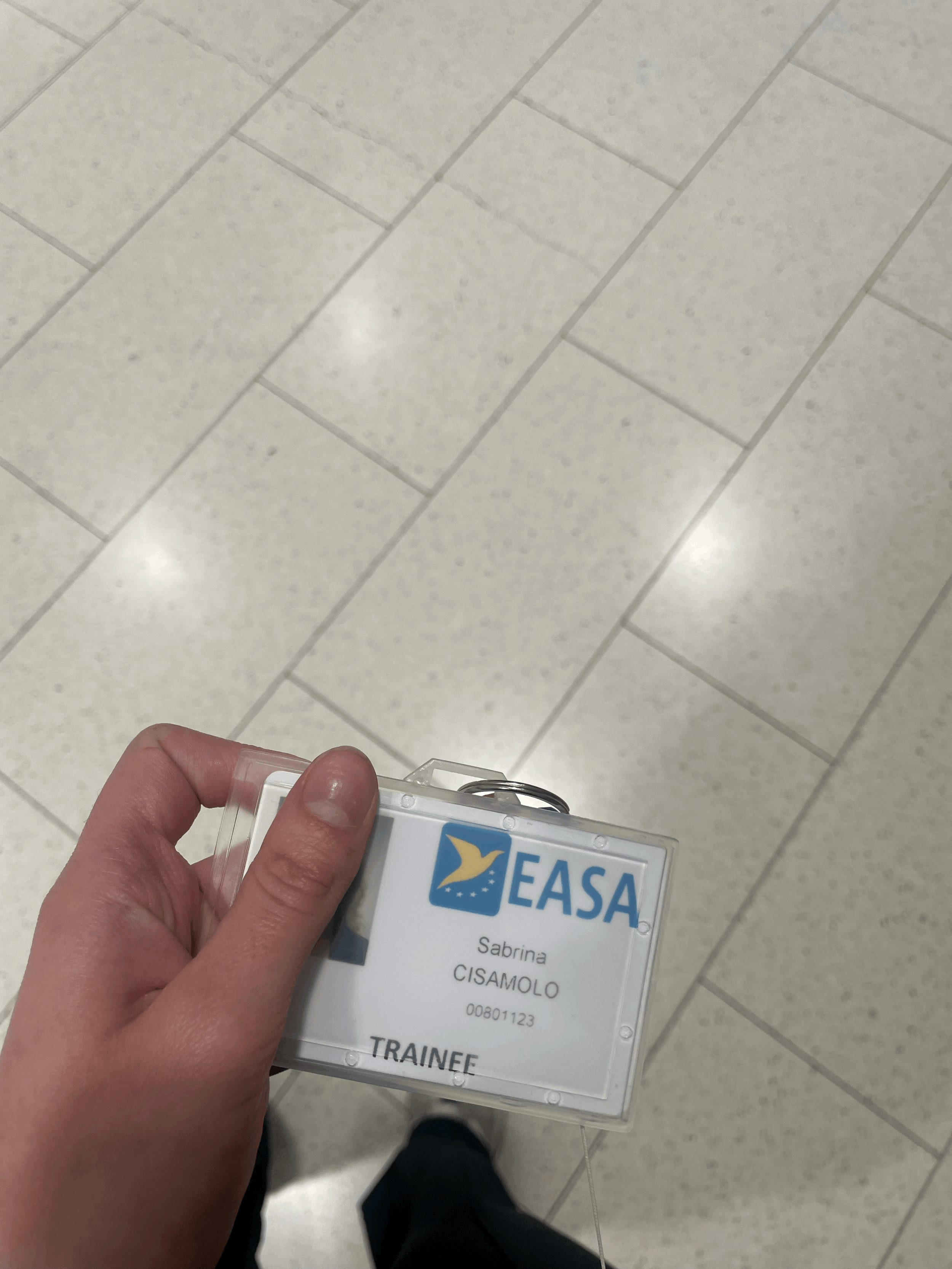 Internship at EASA