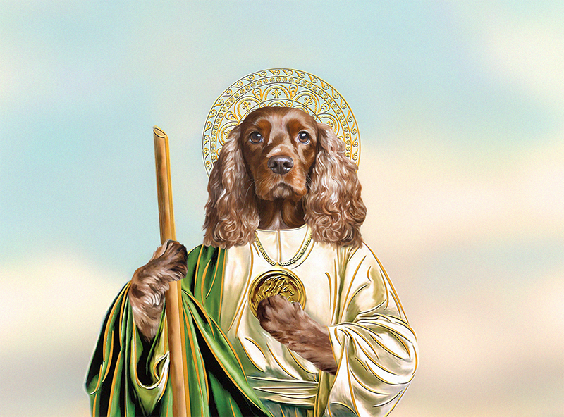 Animal Cancer Foundation