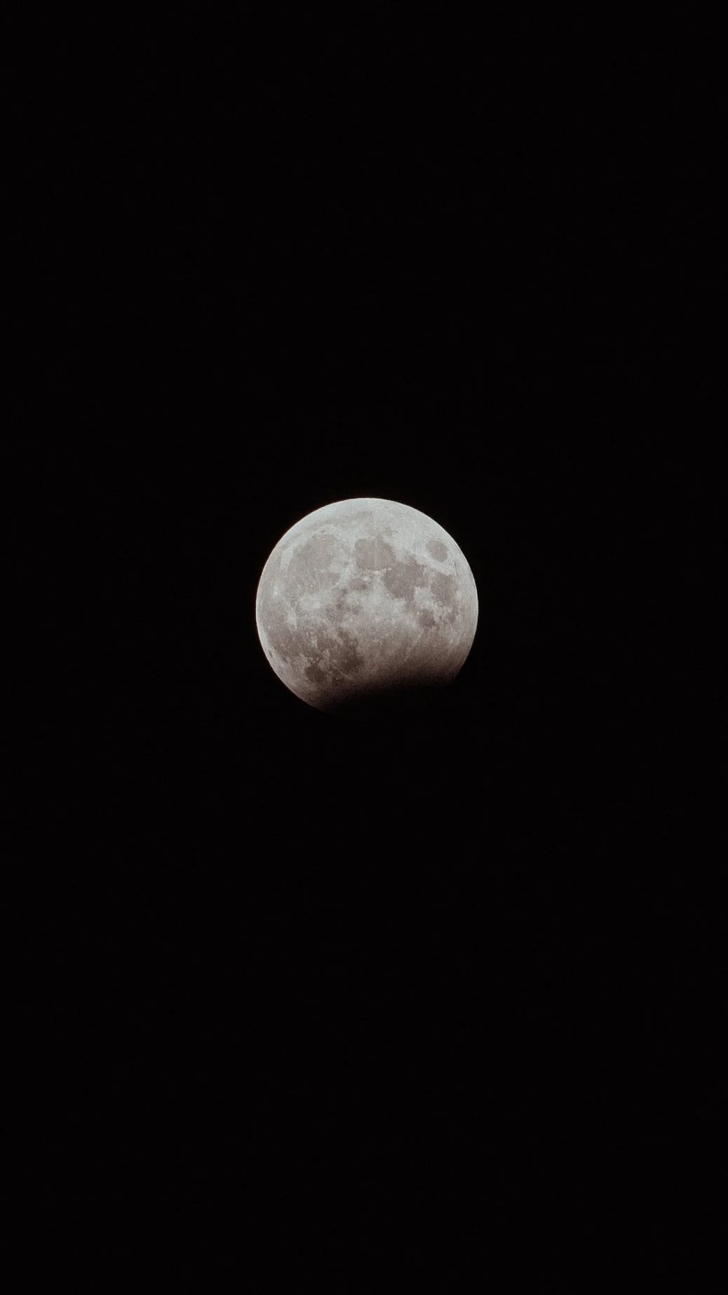 DSC_0733.JPEG