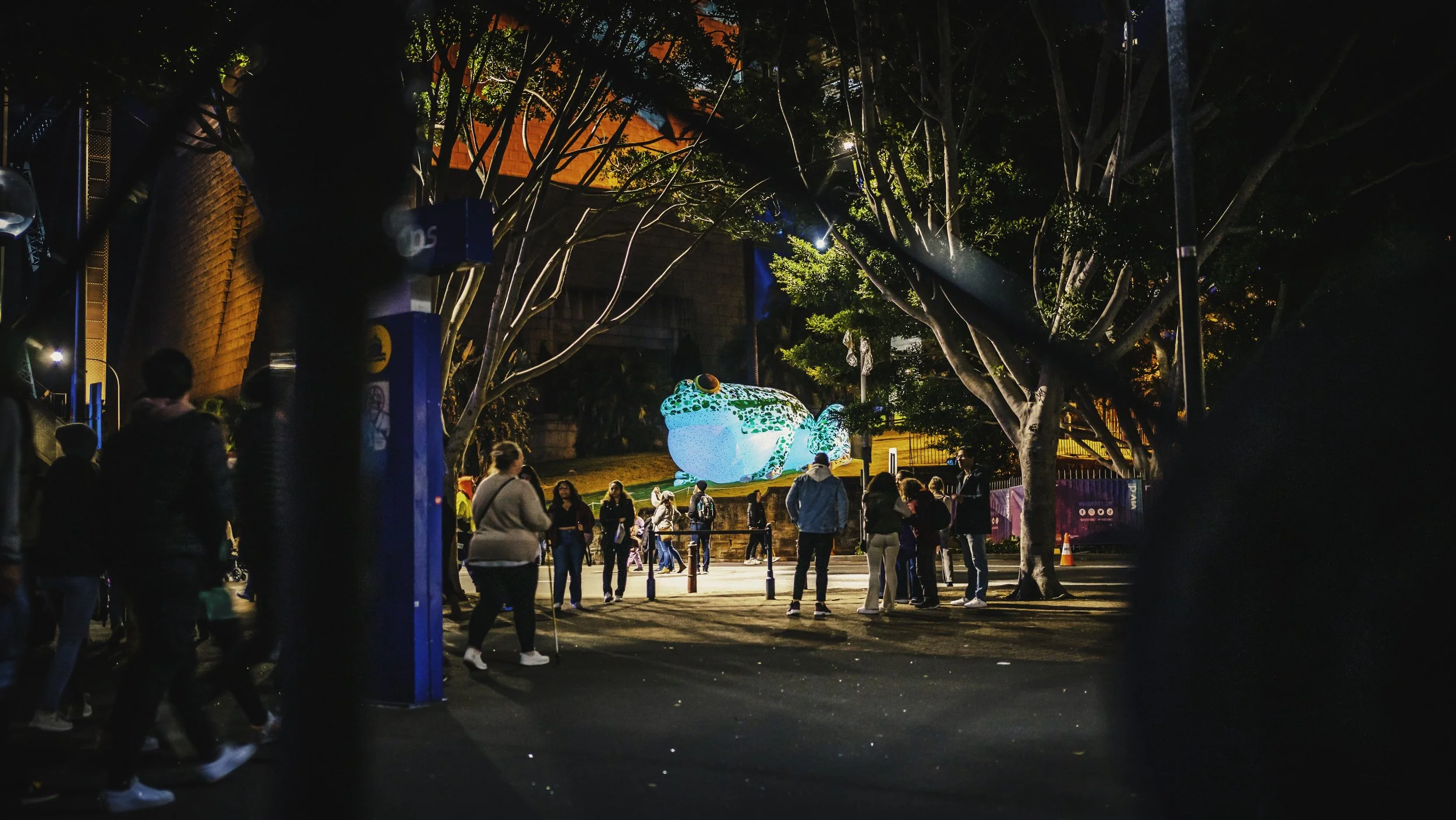 2023_05_28_Vivid Sydney (26).jpg