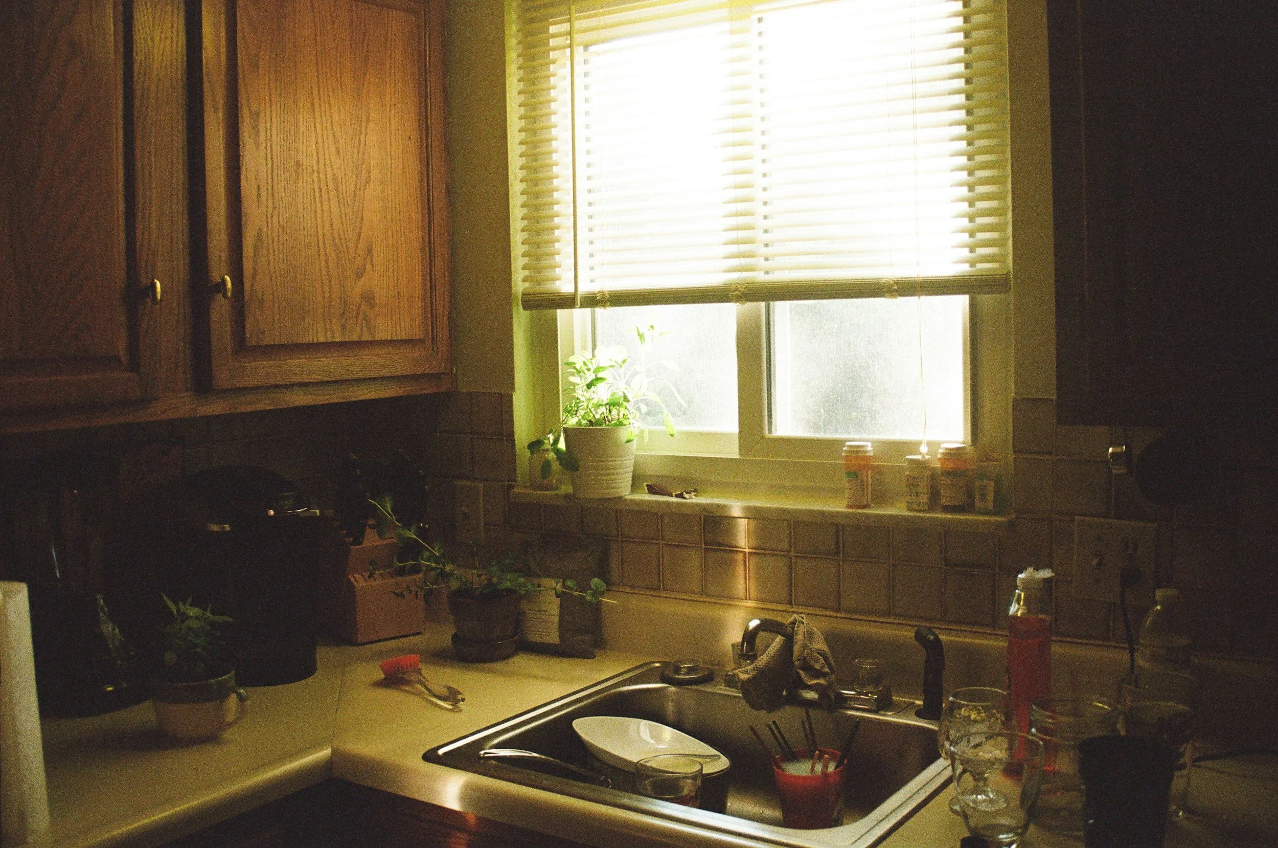 Kitchen sink area with a window above it, potted plants, various bottles, and cleaning supplies on the counter to show busy and overwhelming life of parents.