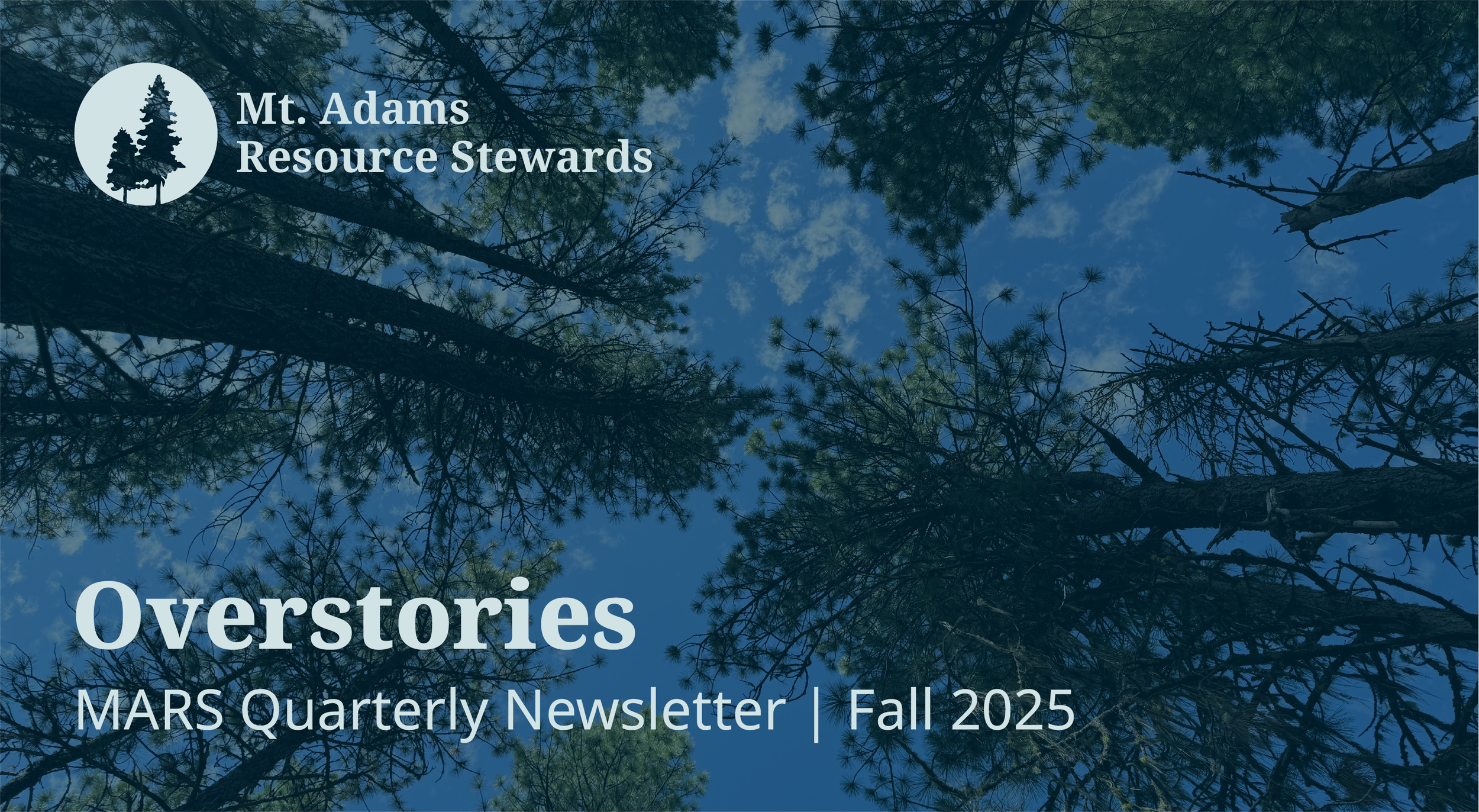 First-ever MARS quarterly e-newsletter!