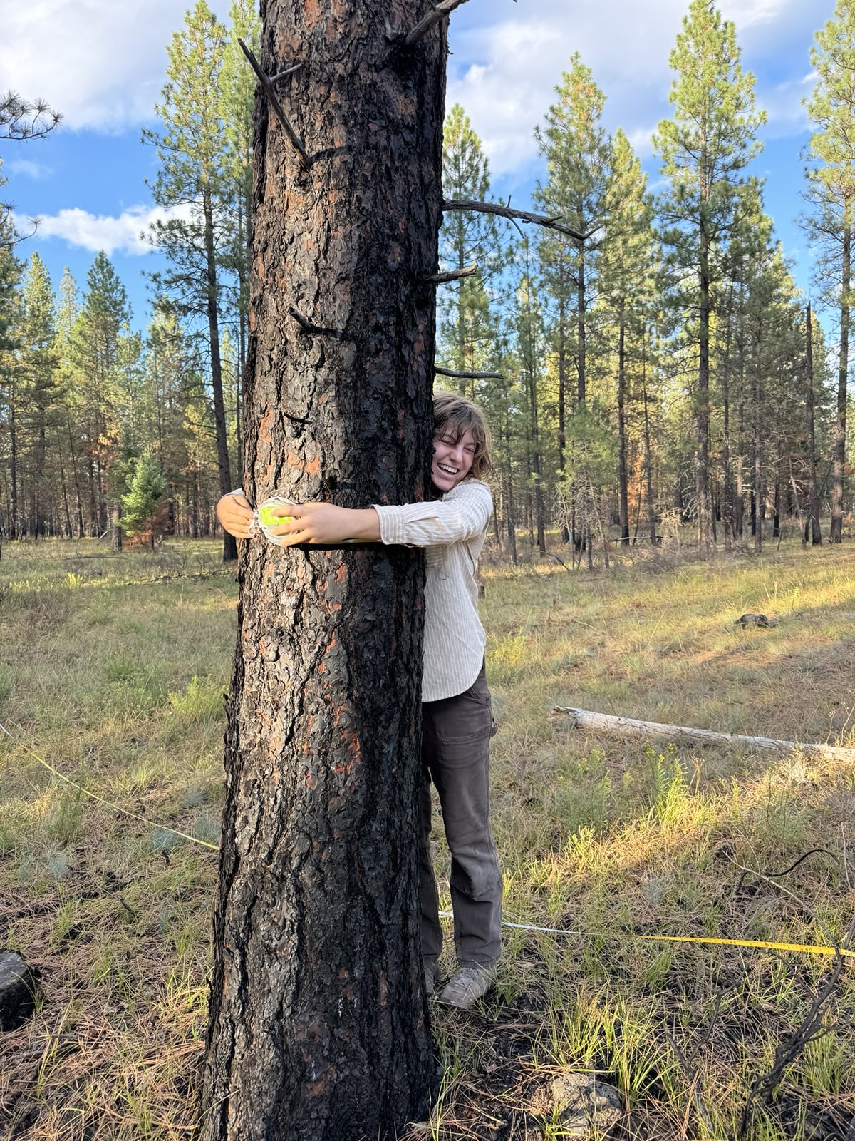 Community Forest Research Highlight: Understory Plants &amp; Fire