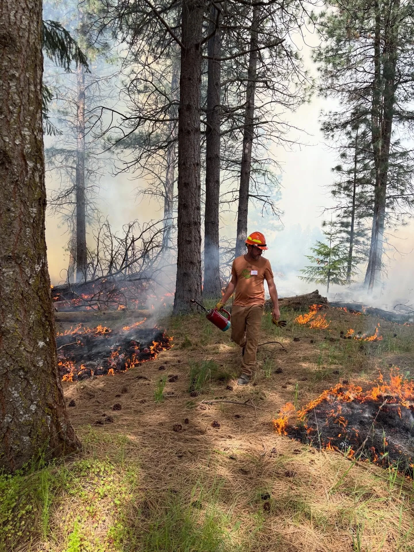 Taking Action Before a High-Risk Wildfire Season