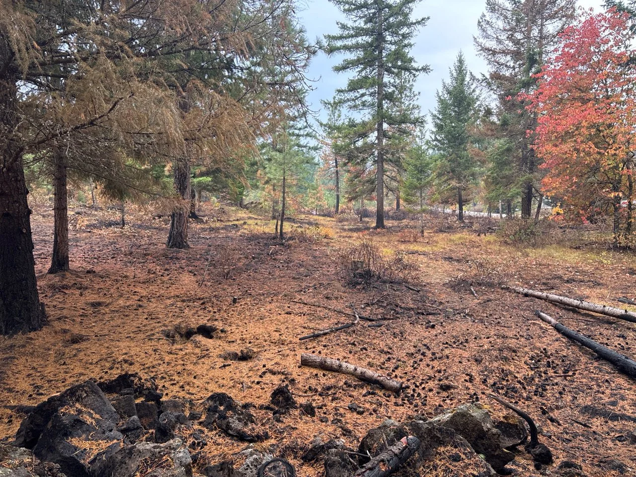 Immediately post-burn