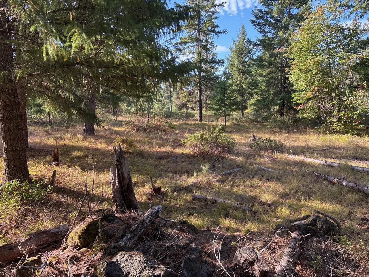Pre-burn