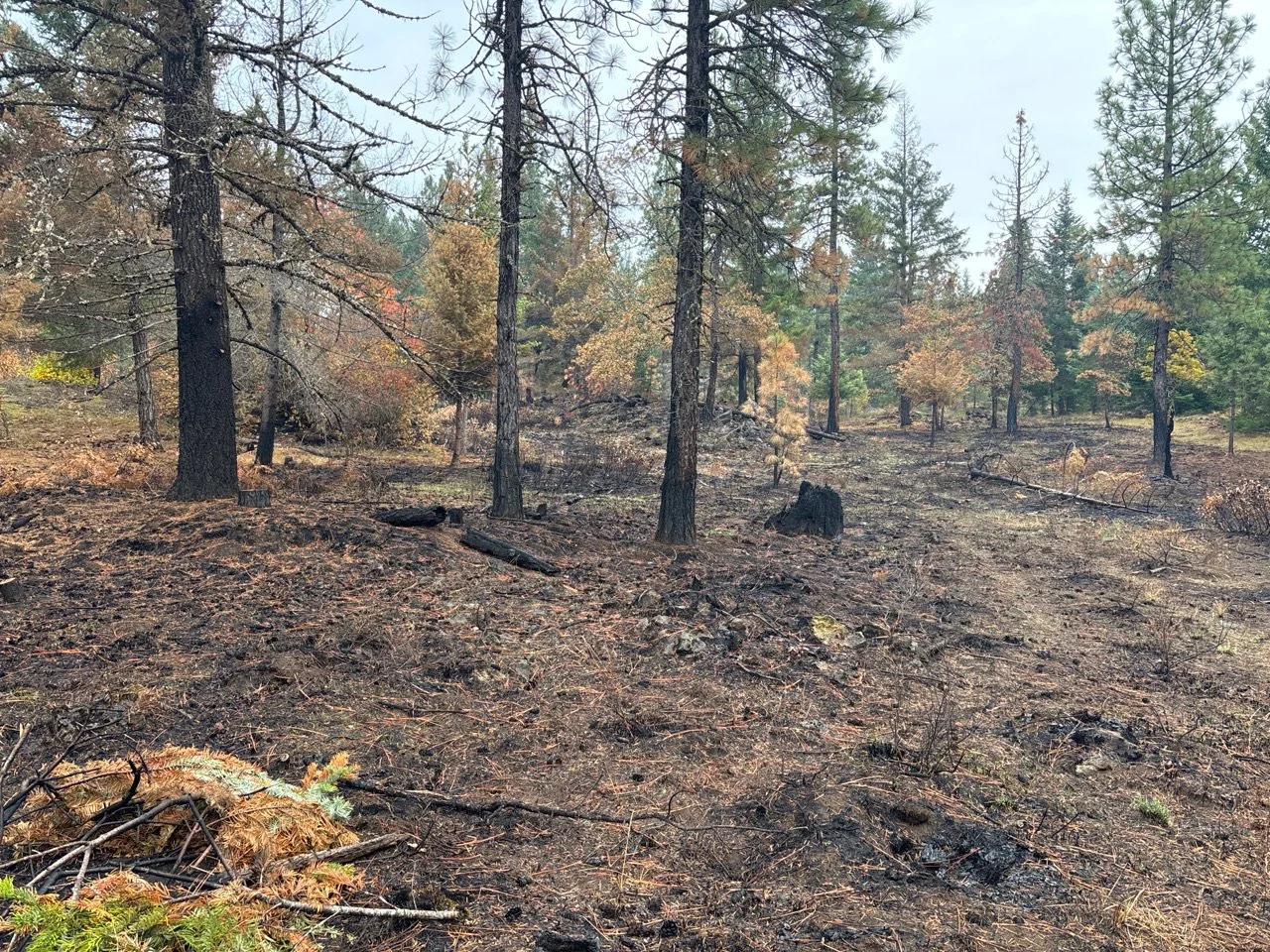 Immediately post-burn