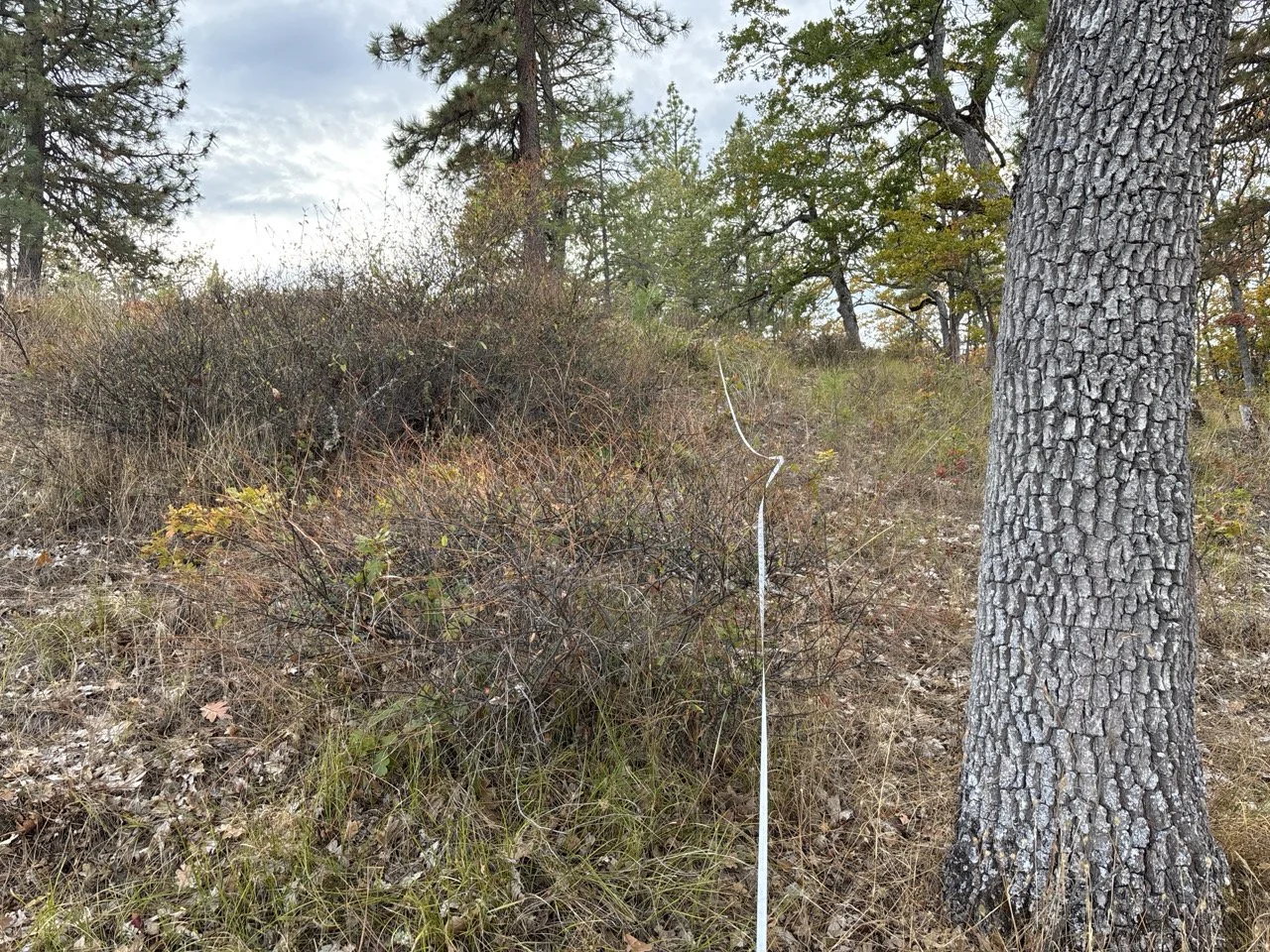 Pre-burn