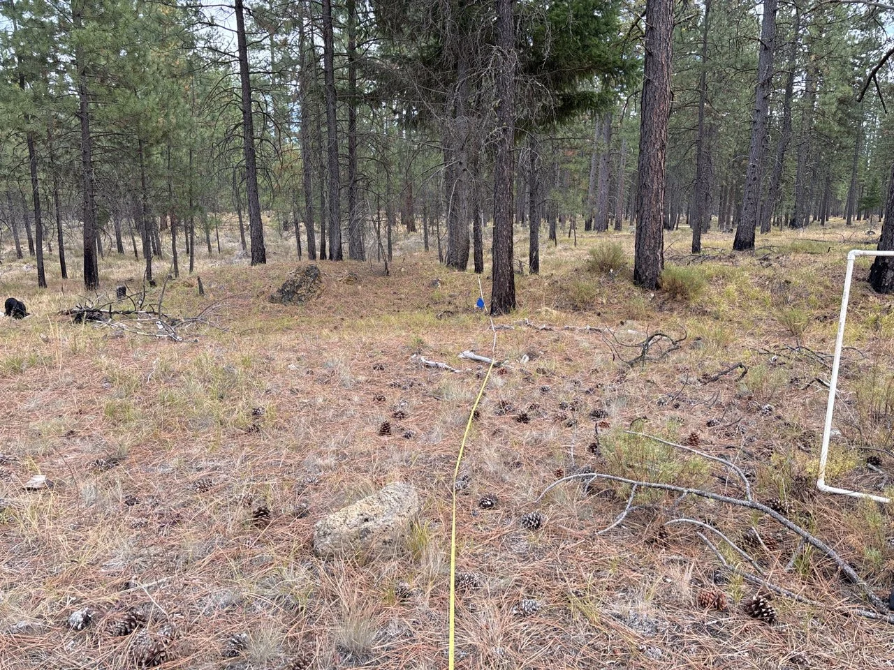 Pre-burn
