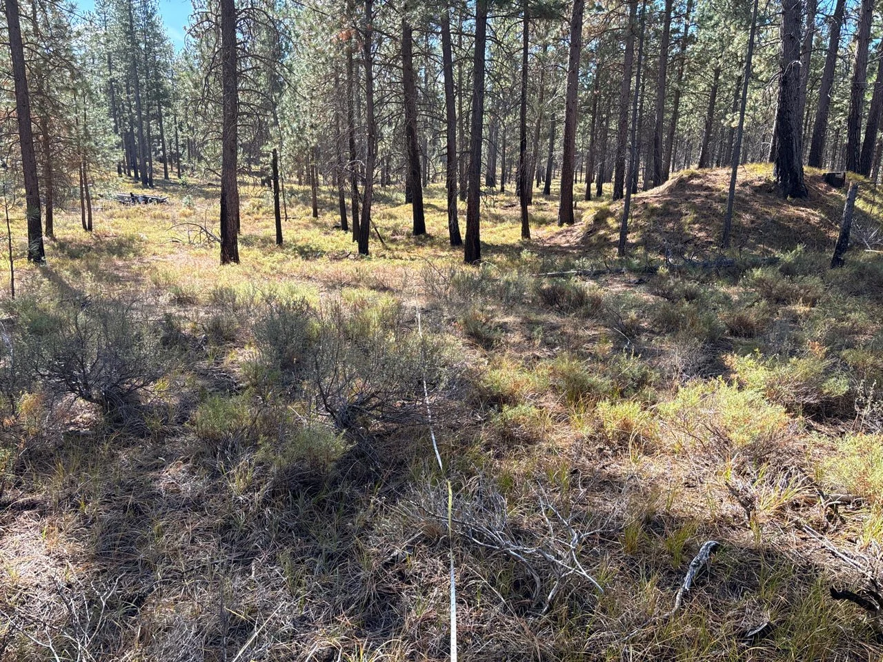 Pre-burn