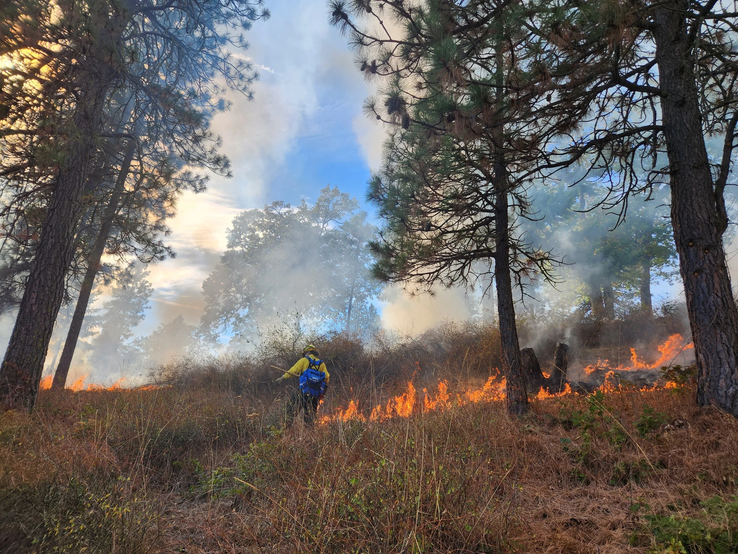 From black to green: Monitoring MARS’ prescribed burn units 