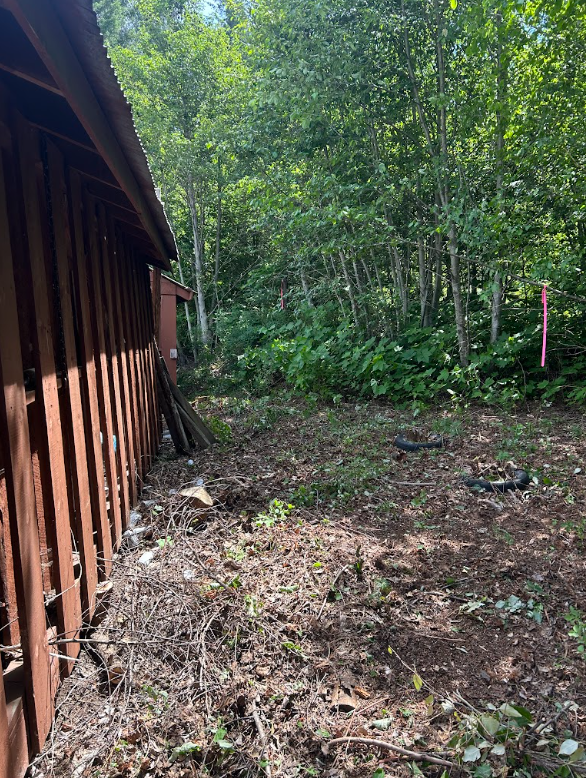 After clearing vegetation