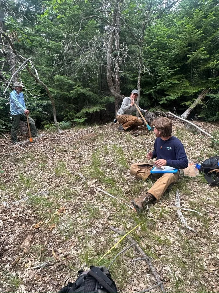 HRD monitoring crew. Image: Olivia Rowe
