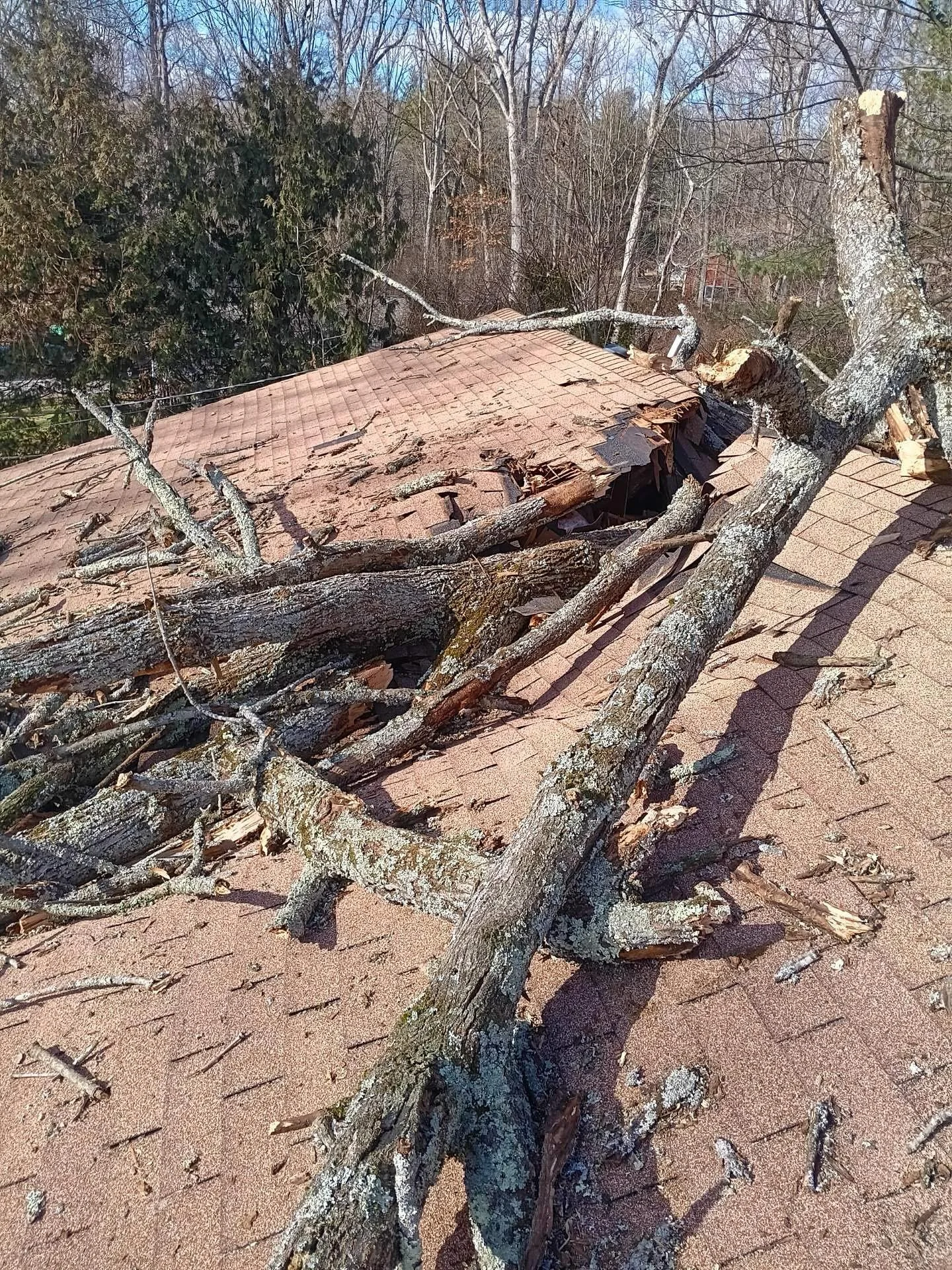 Tree fell on customer's roof. The damage extended from rafters to load-bearing walls on the first floor.

Needless to say we had this one patched up quickly