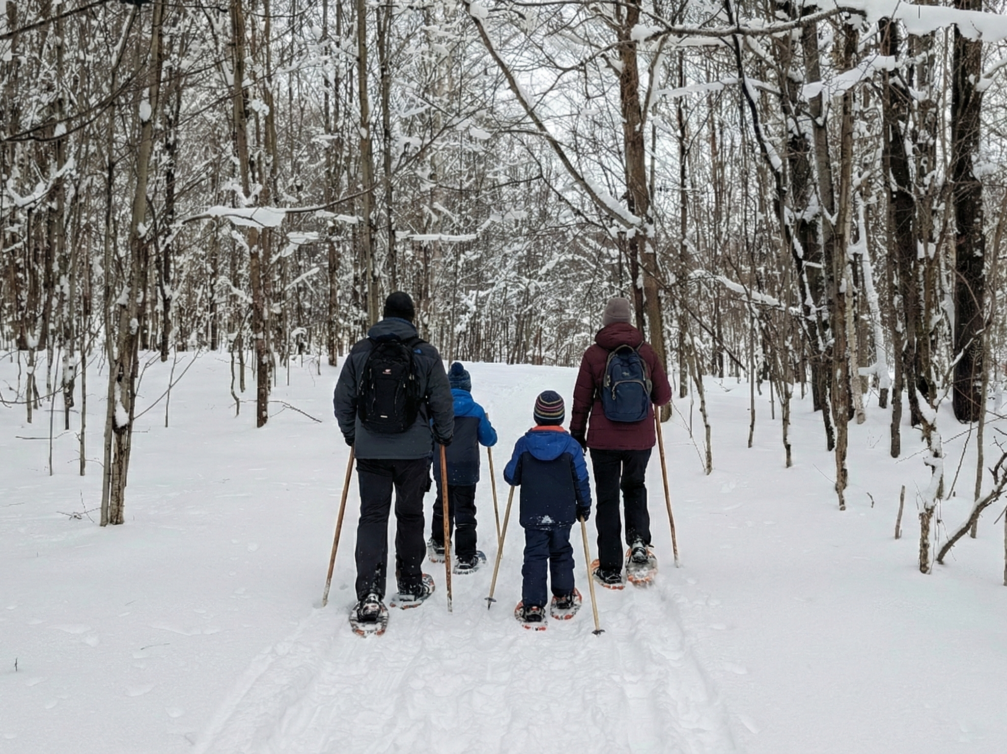 Explore 2.5km of private trails through our 80-acre winter wonderland. Snowshoes provided.