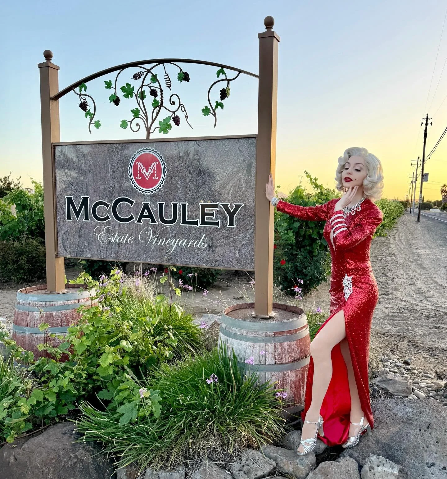 @mccauleyestatevineyards is such a fabulous location for a celebration! 🍷

#brentwoodca #marilynmonroe #marilynmonroelookalike #tributeartist #eastbayca