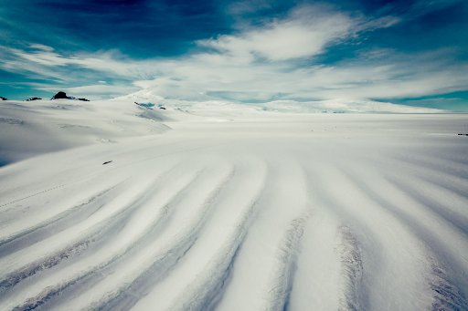 Antarctica artwork-117.jpg