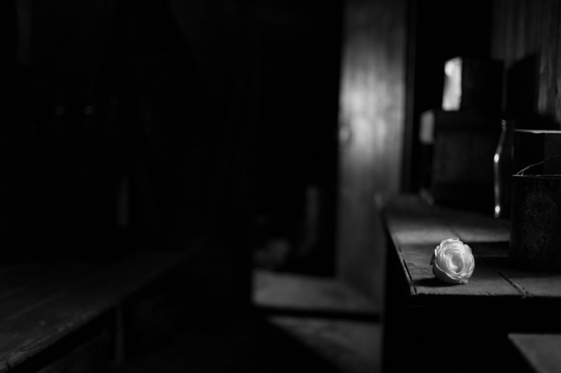 L1205271.jpg
