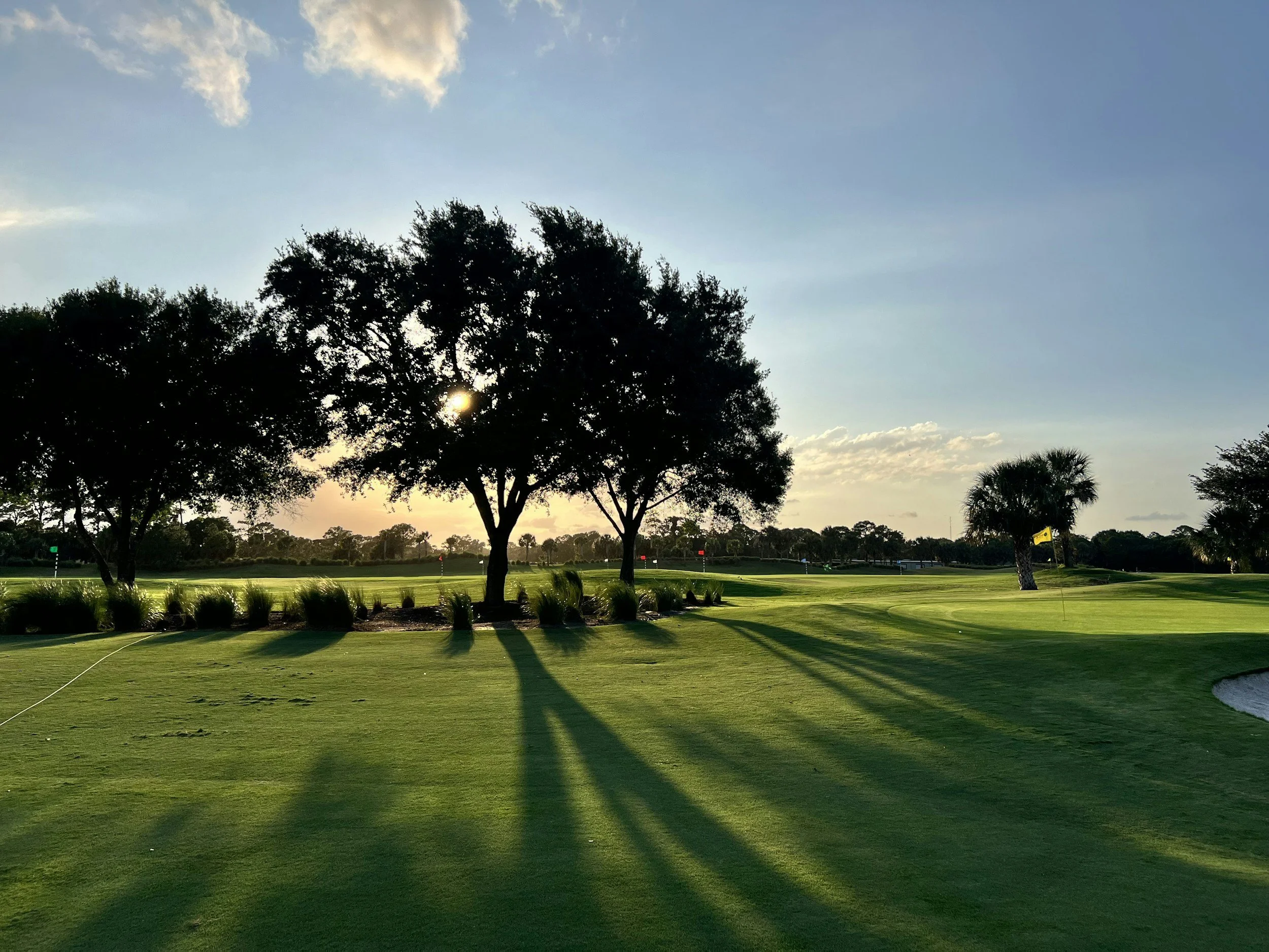 6 Golfers Who Earned Their PGA Tour Cards for 2026