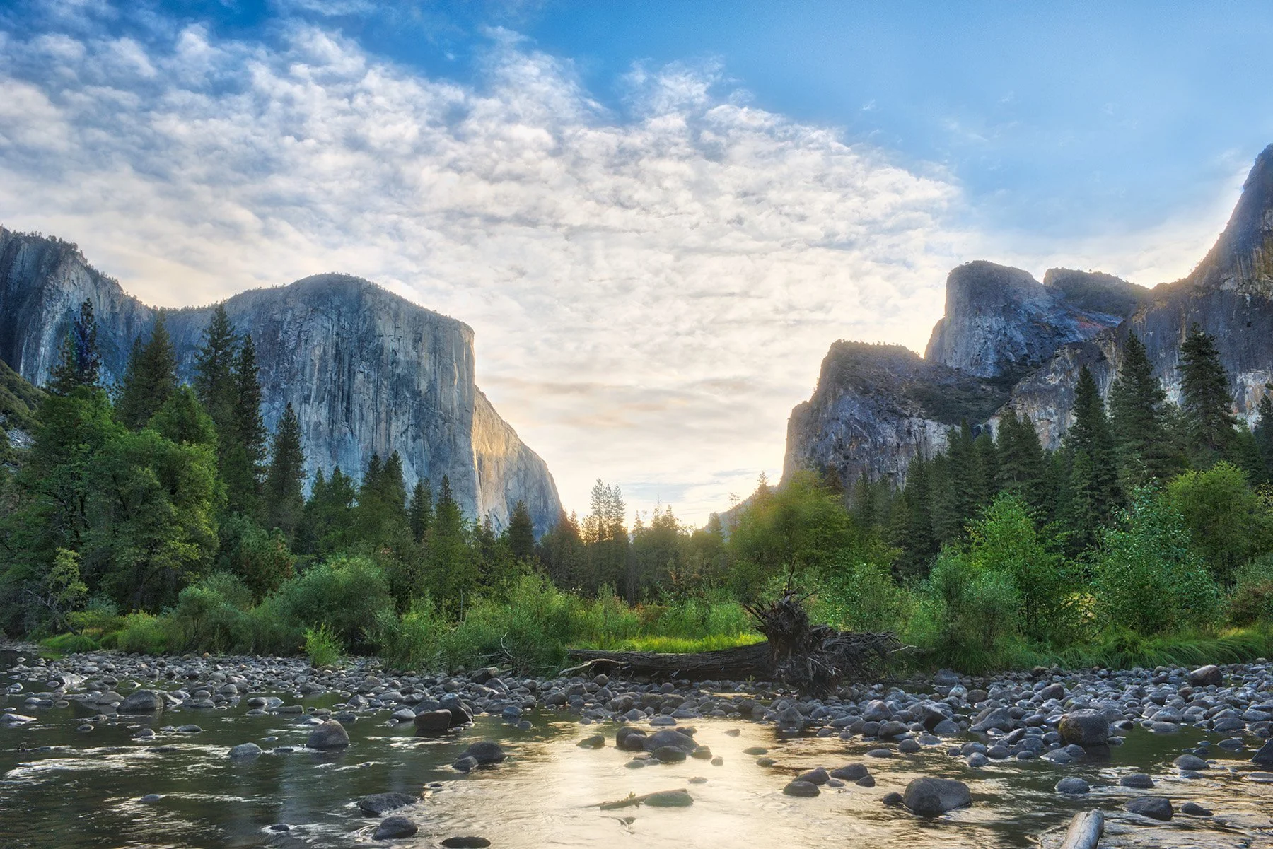 yosemite-morning glory.jpg
