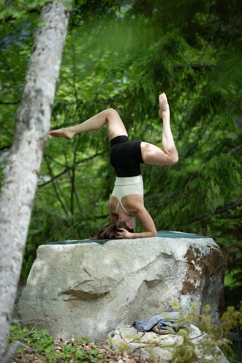 DSC_6311.jpg