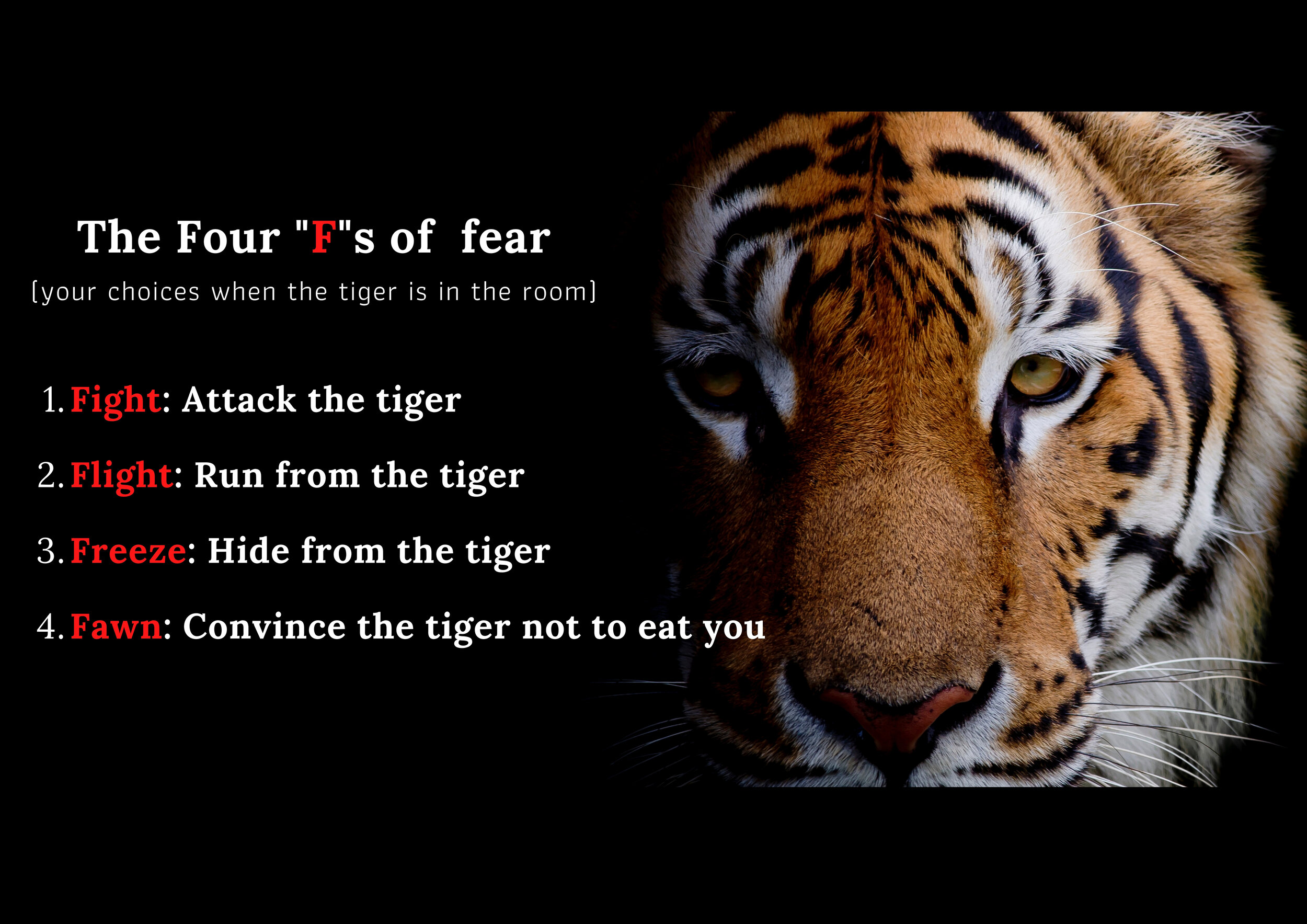 Controlling or dominant behaviour Winning at all cost Short temper or aggressive outbursts.jpg