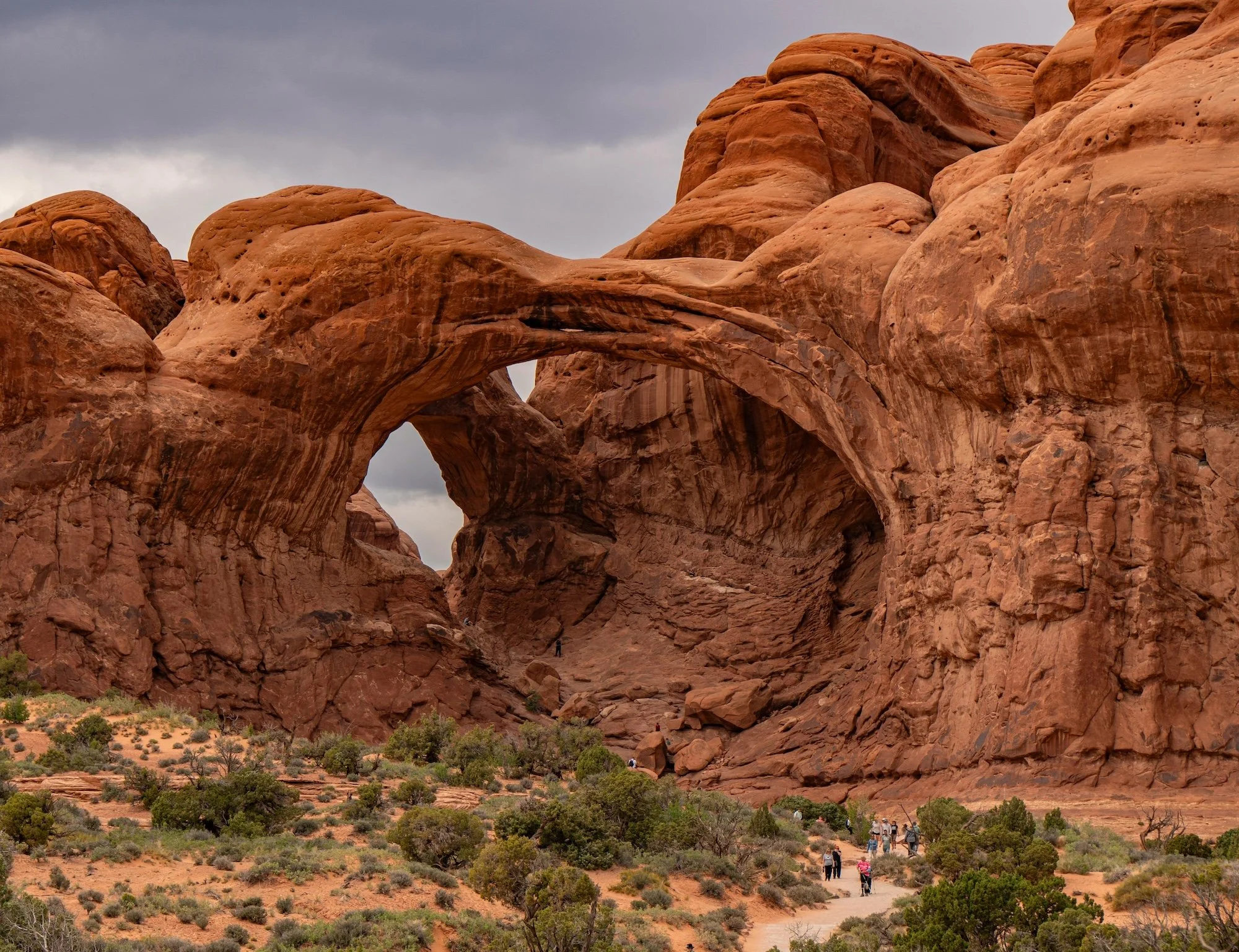 Find Your Wild Side: The Best National Parks to Visit Across the U.S.