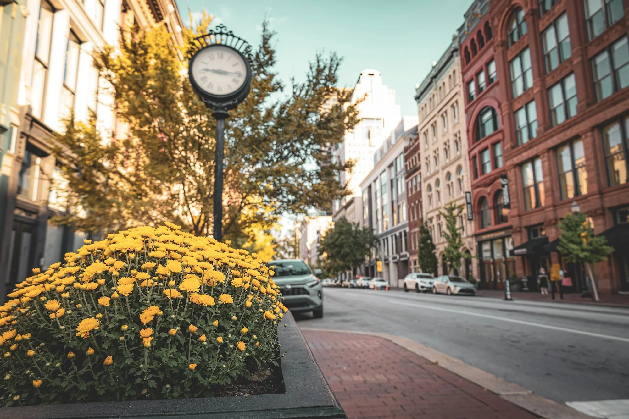 Kentucky Short-Term Rental Laws: Airbnb &amp; Vacation Rental Regulations