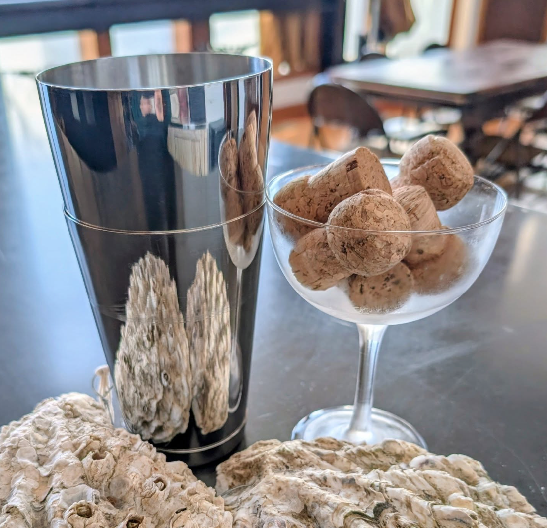 OYSTERS + BUBBLES + MARTINIS