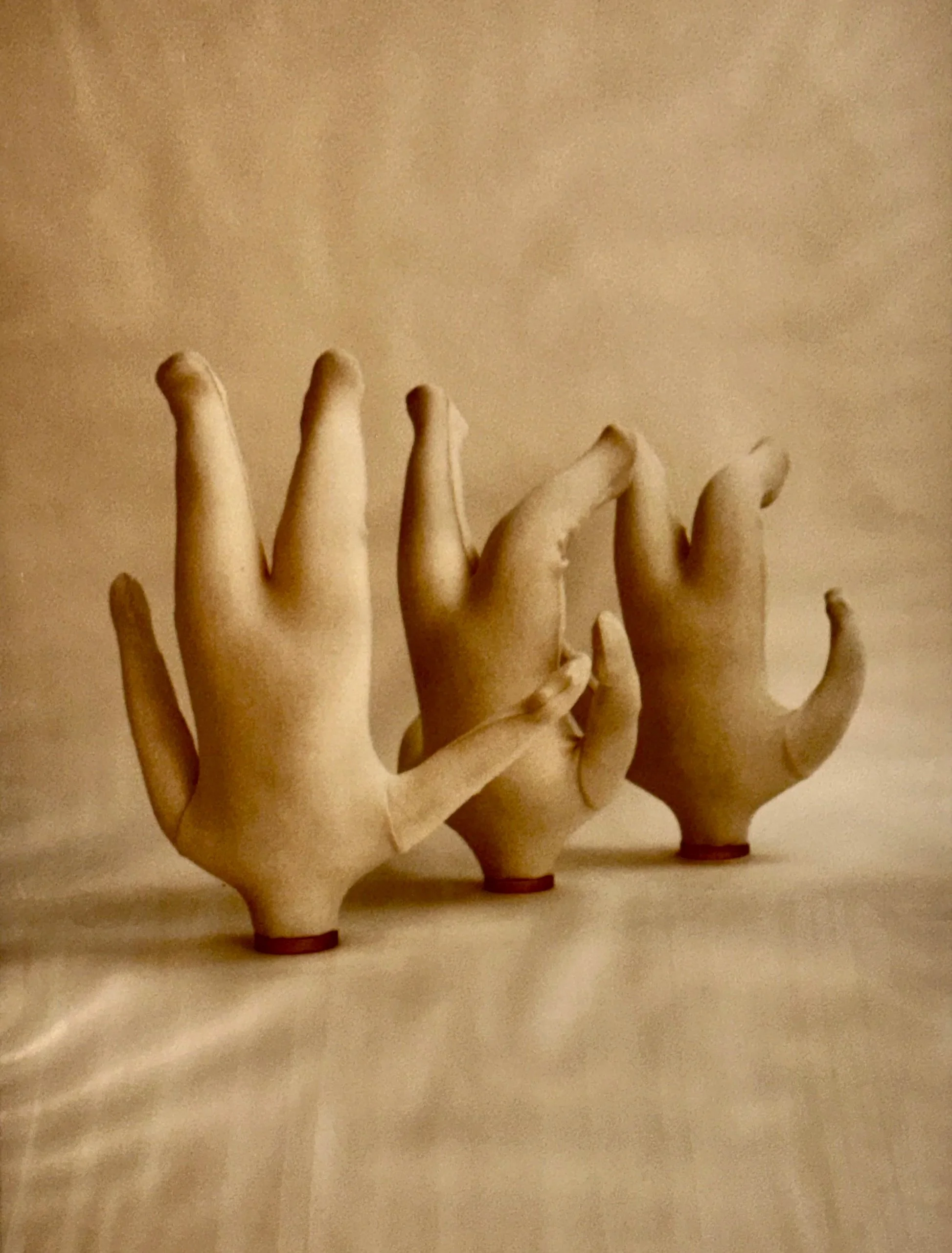 ART TALK: 'CONSUMERS' by Judith Kindler