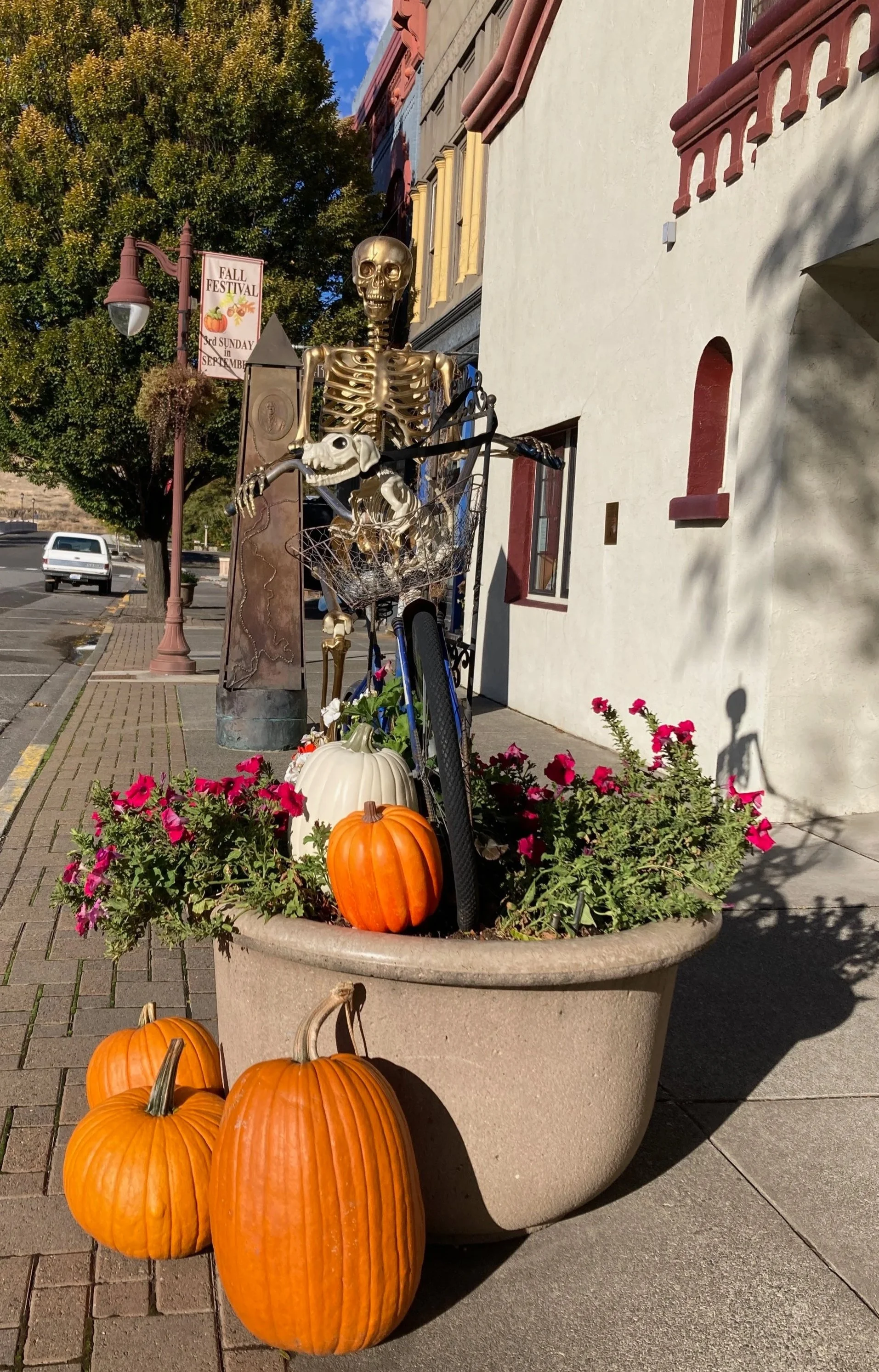 SPOOKY SEASON HAS ARRIVED