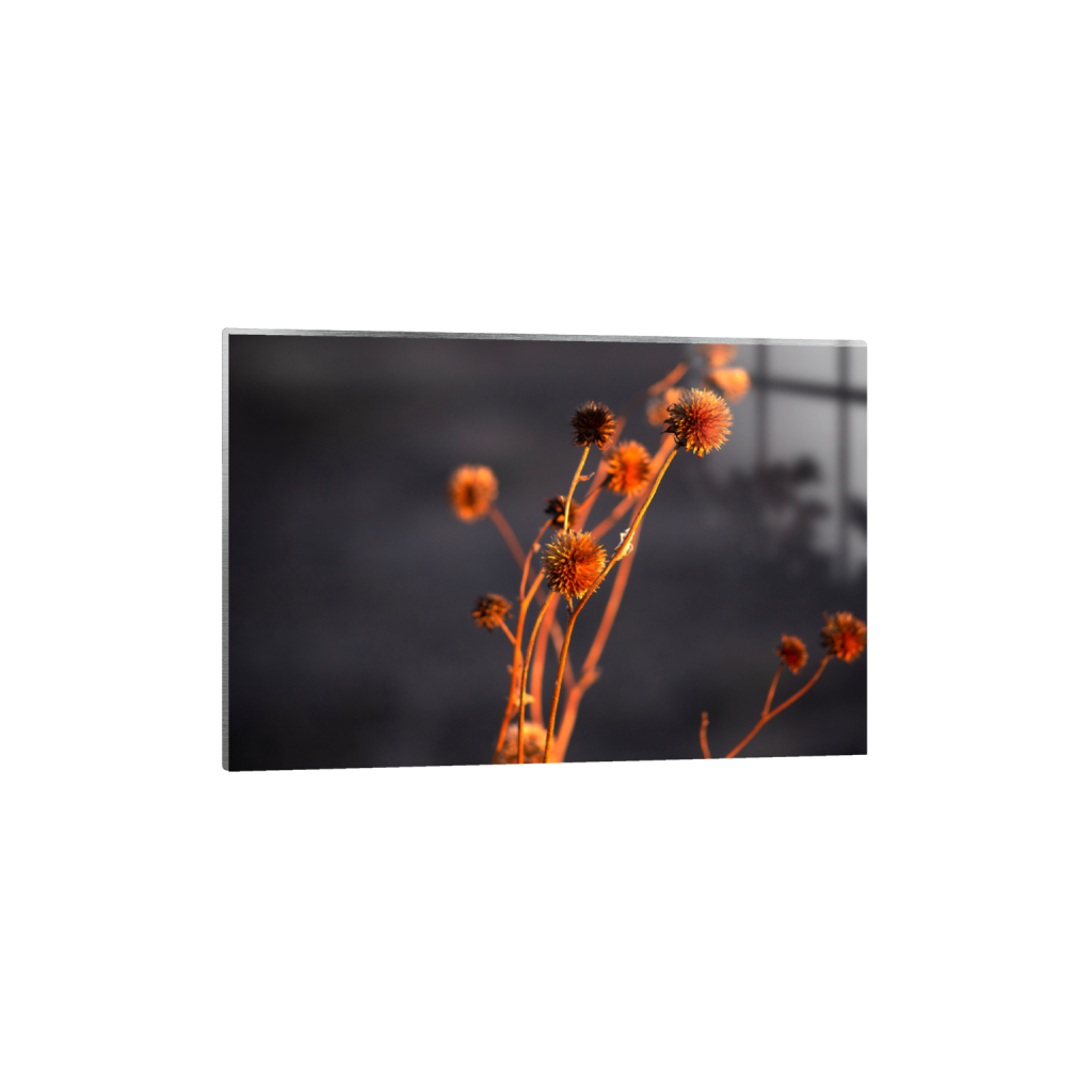 ptq_13_3_427_0_4617_3078_0_false_ffffff_0_0_.png