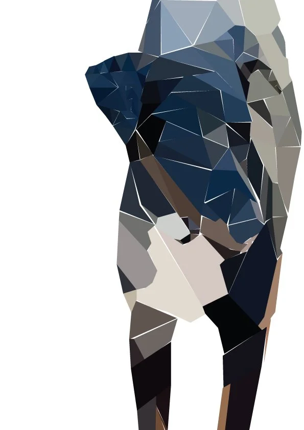 Uke-hexagonal-art-piece-for-class.jpg