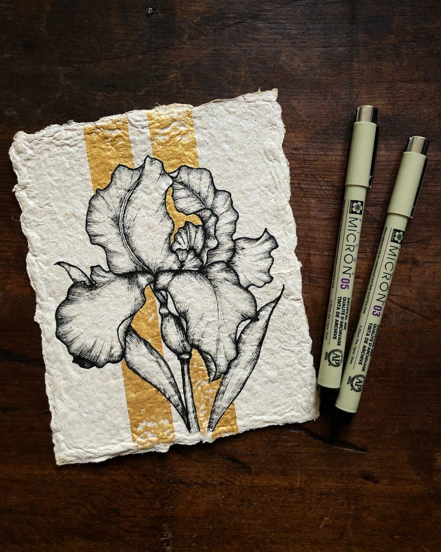 .: Iris :. ✍🏼✨

I remember when I first thought of drawing this flower. I felt very insecure about the result because it seemed a bigger challenge than I thought I could take... I look at it now and it may not be perfect, but it&rsquo;s my Iris, my 