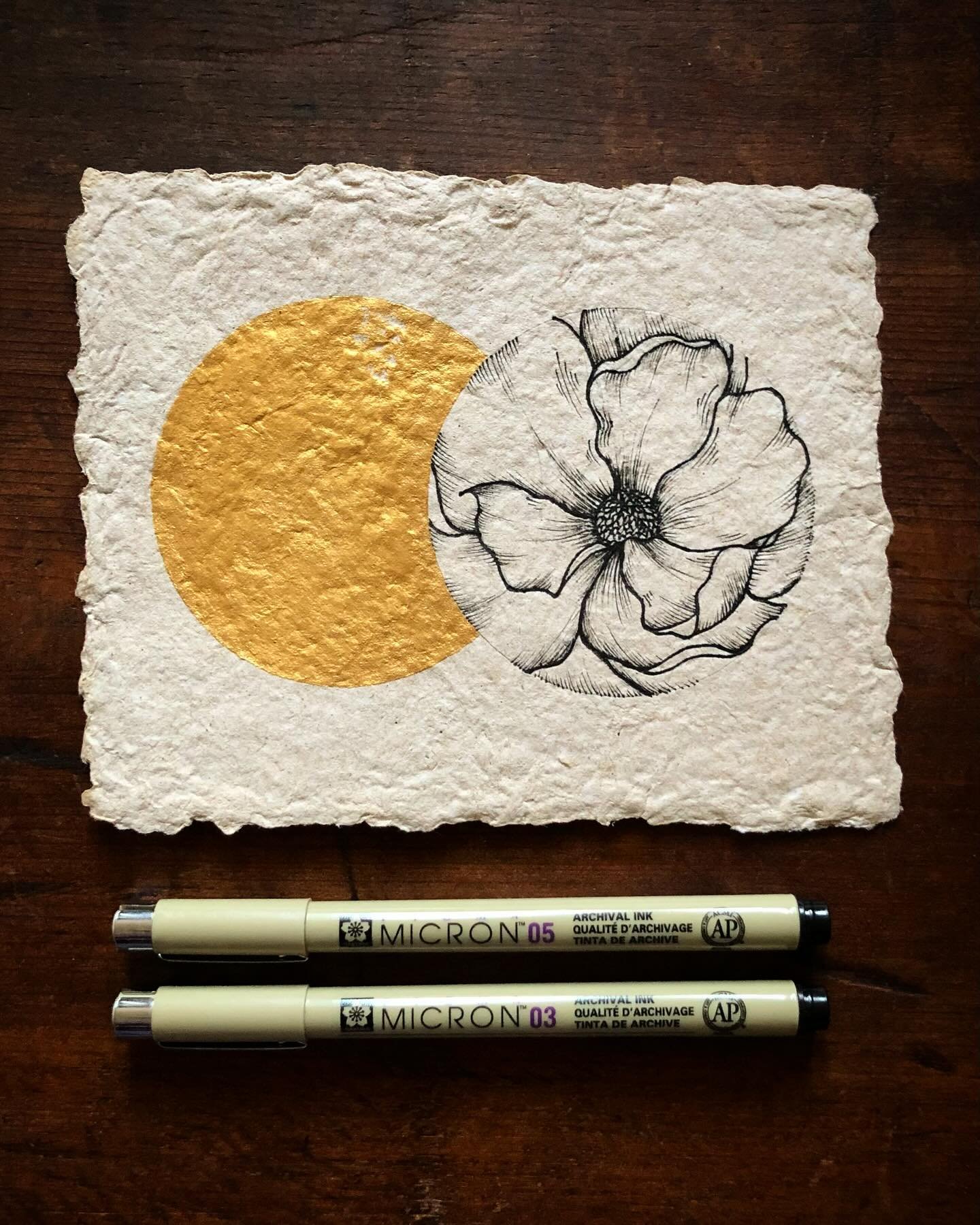 .: Eclipse :. ✍🏼✨

Here&rsquo;s a Magnolia eclipse on this sunny and gorgeous day of April!

Just recently North America was able to witness a solar eclipse visible in Mexico, some parts of the USA and Canada. In my little corner of the world it was