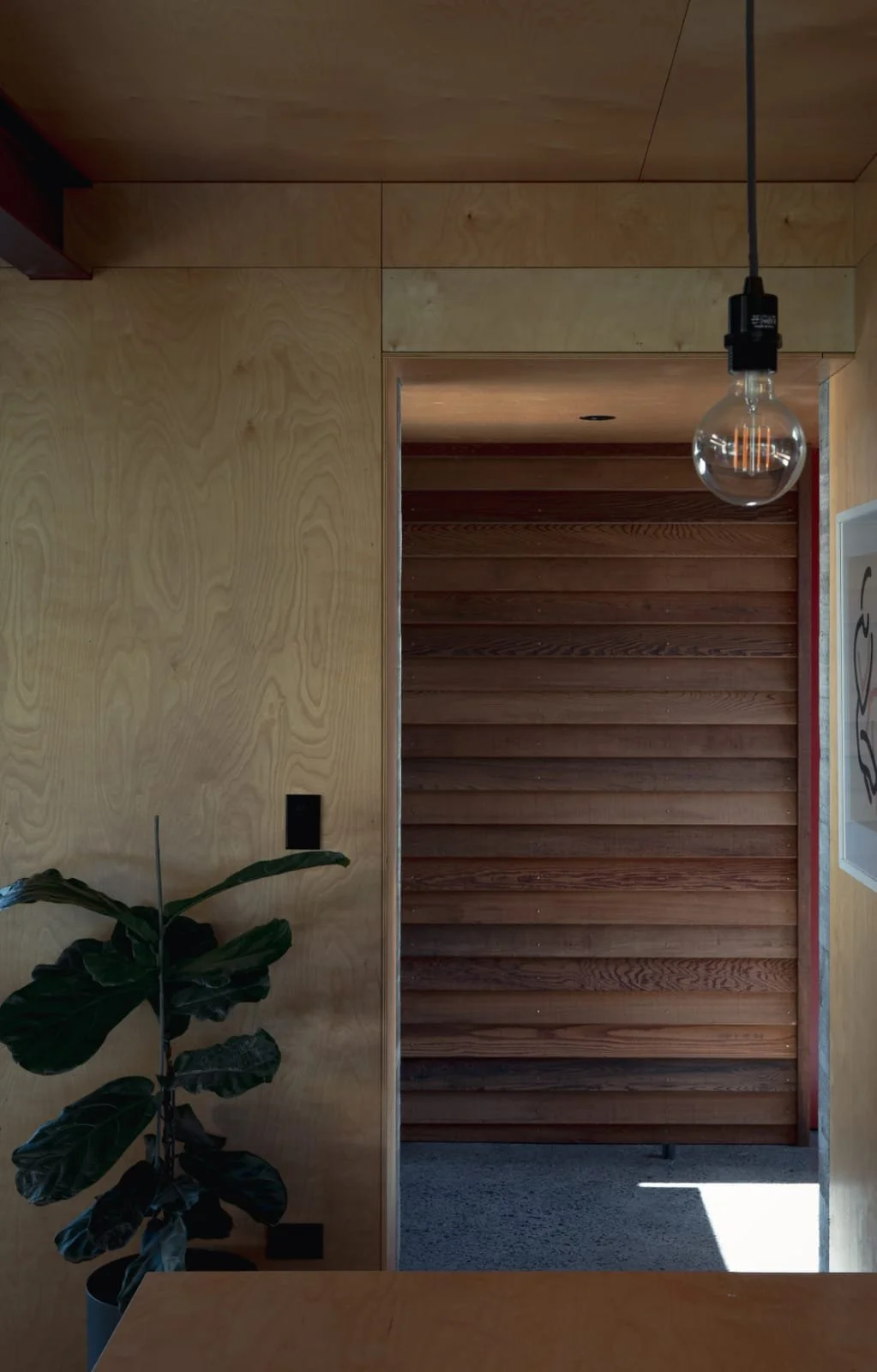 PHOTO-2021-05-14-06-34-30 2.jpg