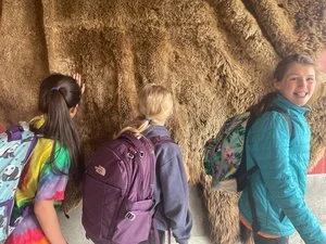 Summer Learning Week 2022: Program Highlights!</a>