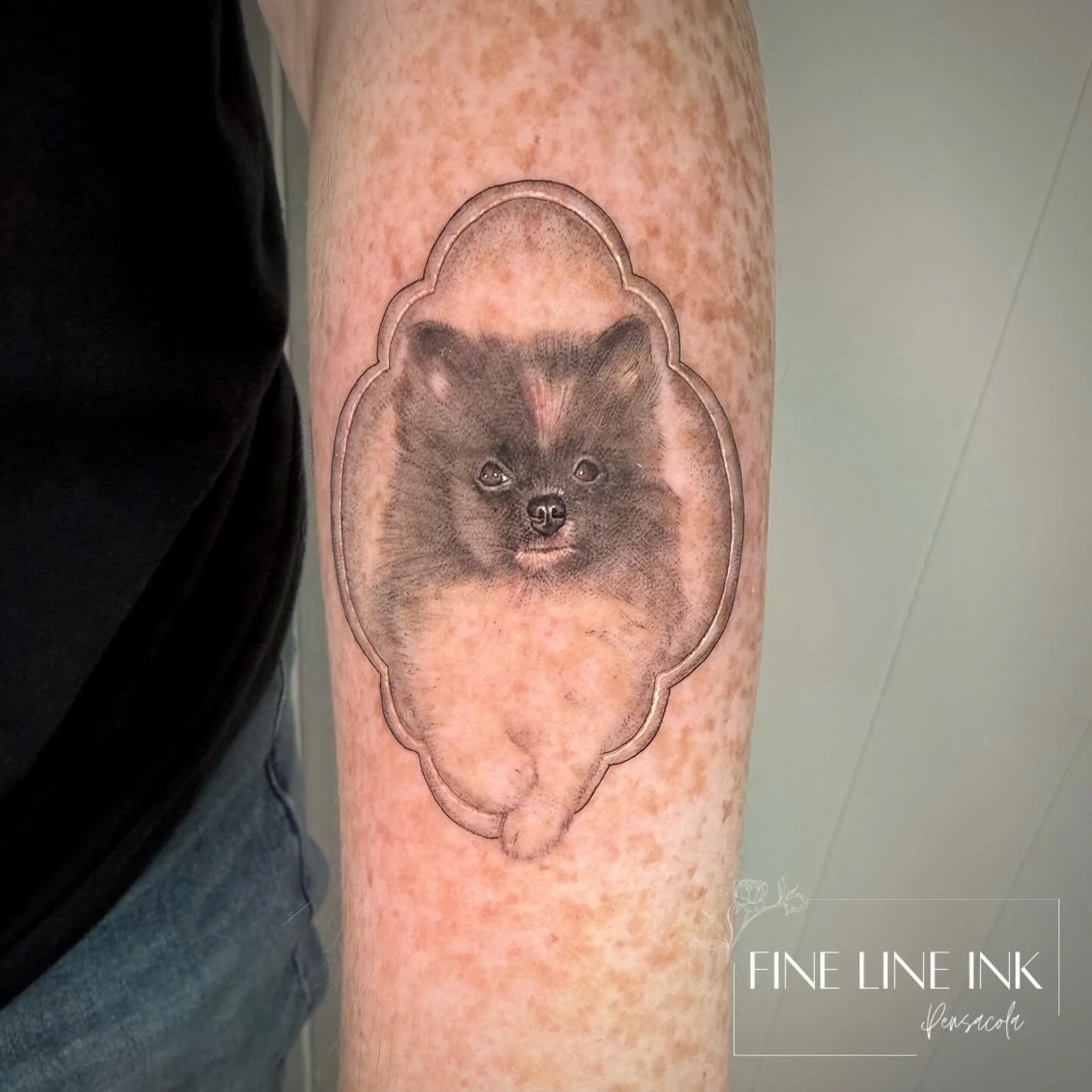 Sweet Gherkin 🥒

What a distinguished gentleman he was 🫶🏼

#finelinetattoo#dogportraittattoo#dogtattoo#pensacolatattoo