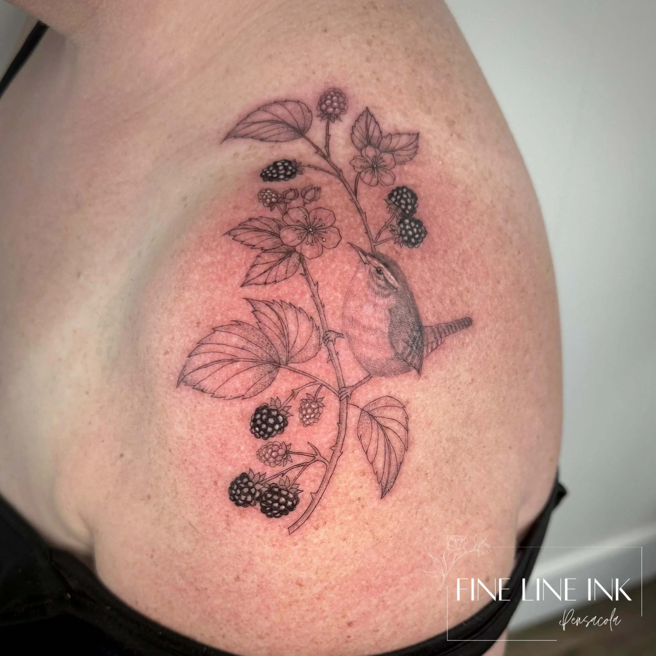 Wren + bramble branch 

This was her second tattoo ever and biggest. She did amazing 😍

Give me all the birds and nature tattoos please! 

#finelinetattoo#pensacolatattoo#finelinetattoopensacola#birdtattoo#shouldertattoo