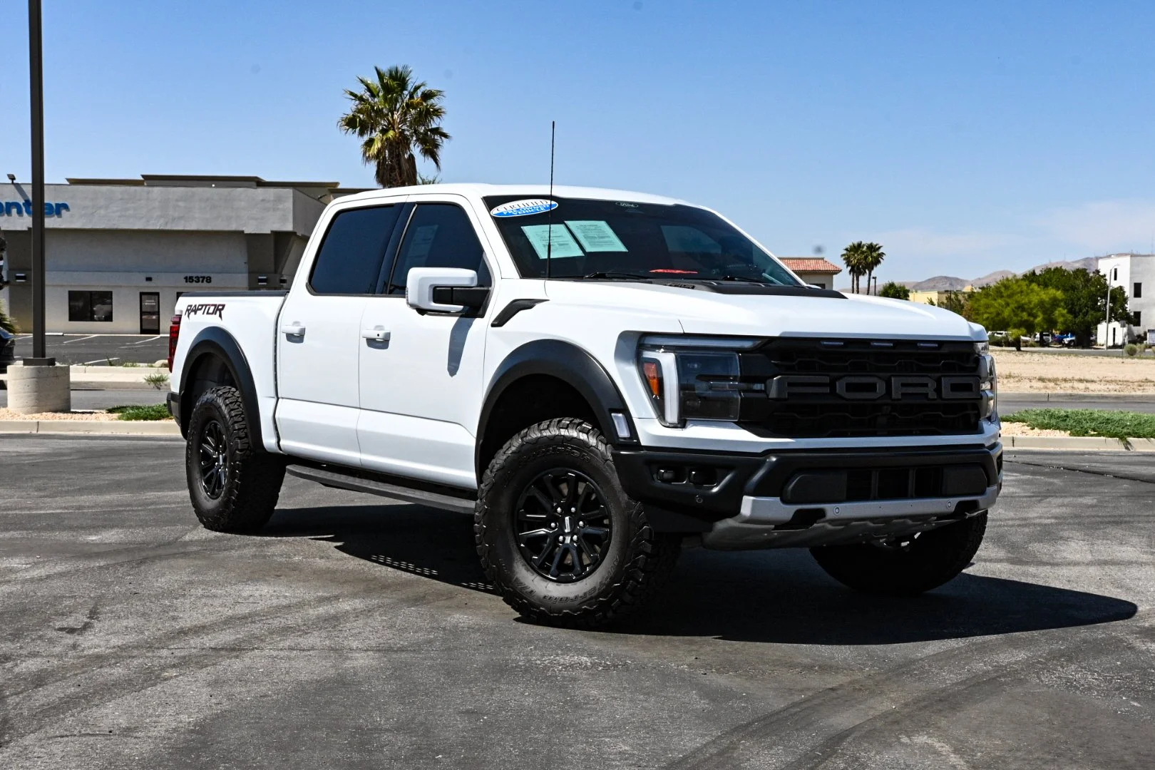 Mustang-4.jpg
