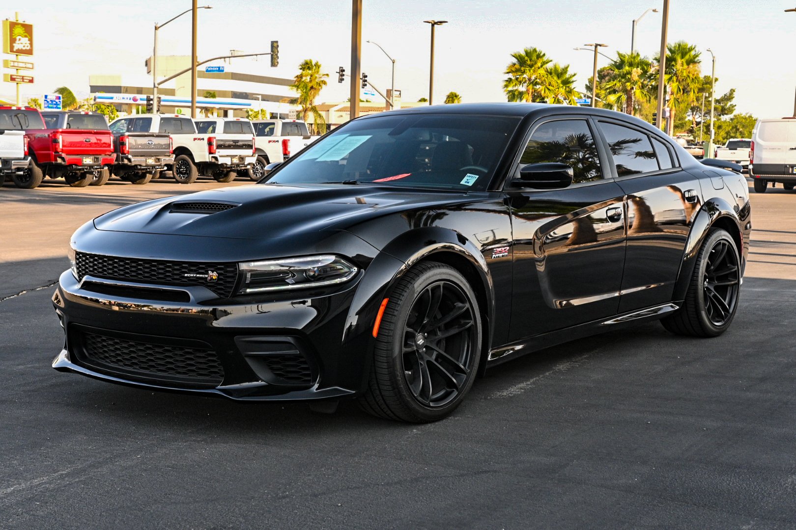 Mustang-12.jpg