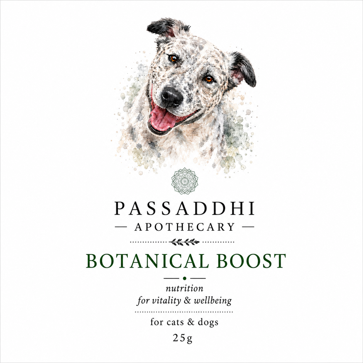 Botanical Boost 25g