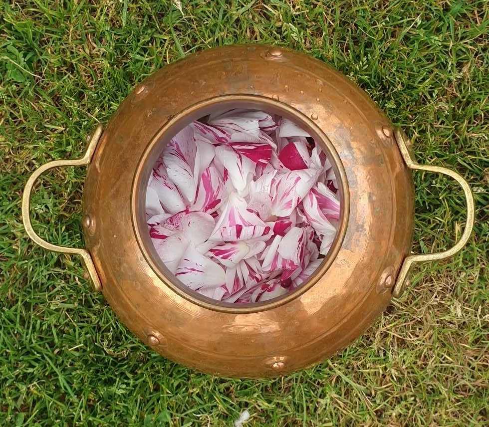 rose hydrosol.jpg