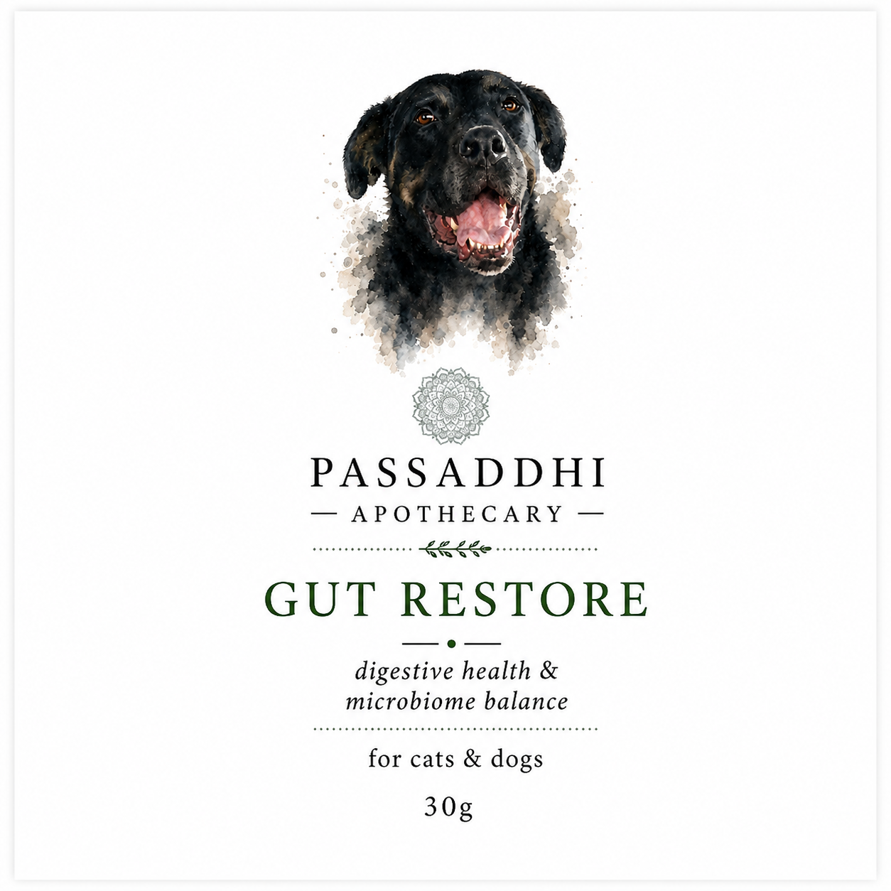 Gut Restore  30 g