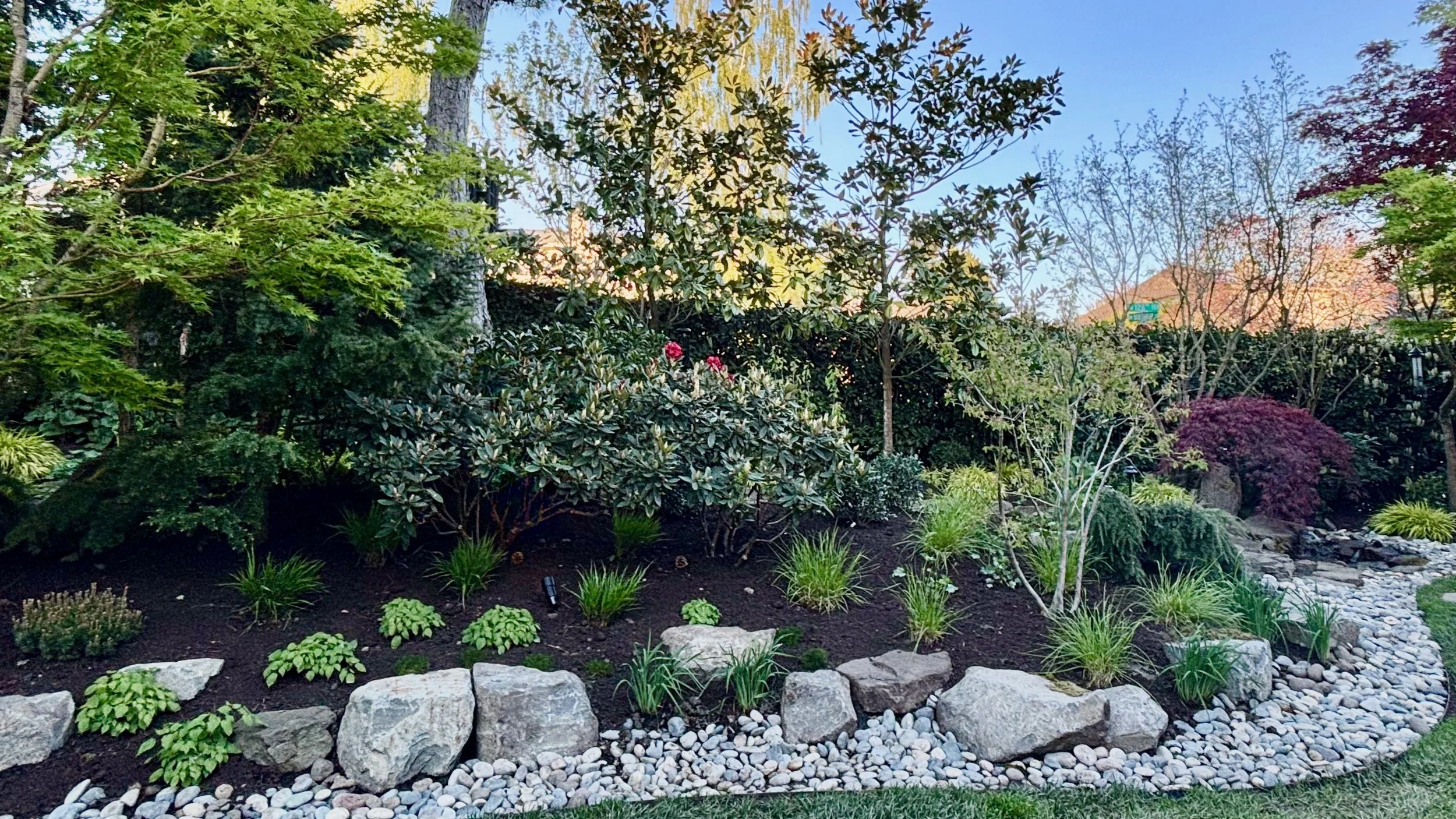 Helms Coulam pics - 3.jpeg